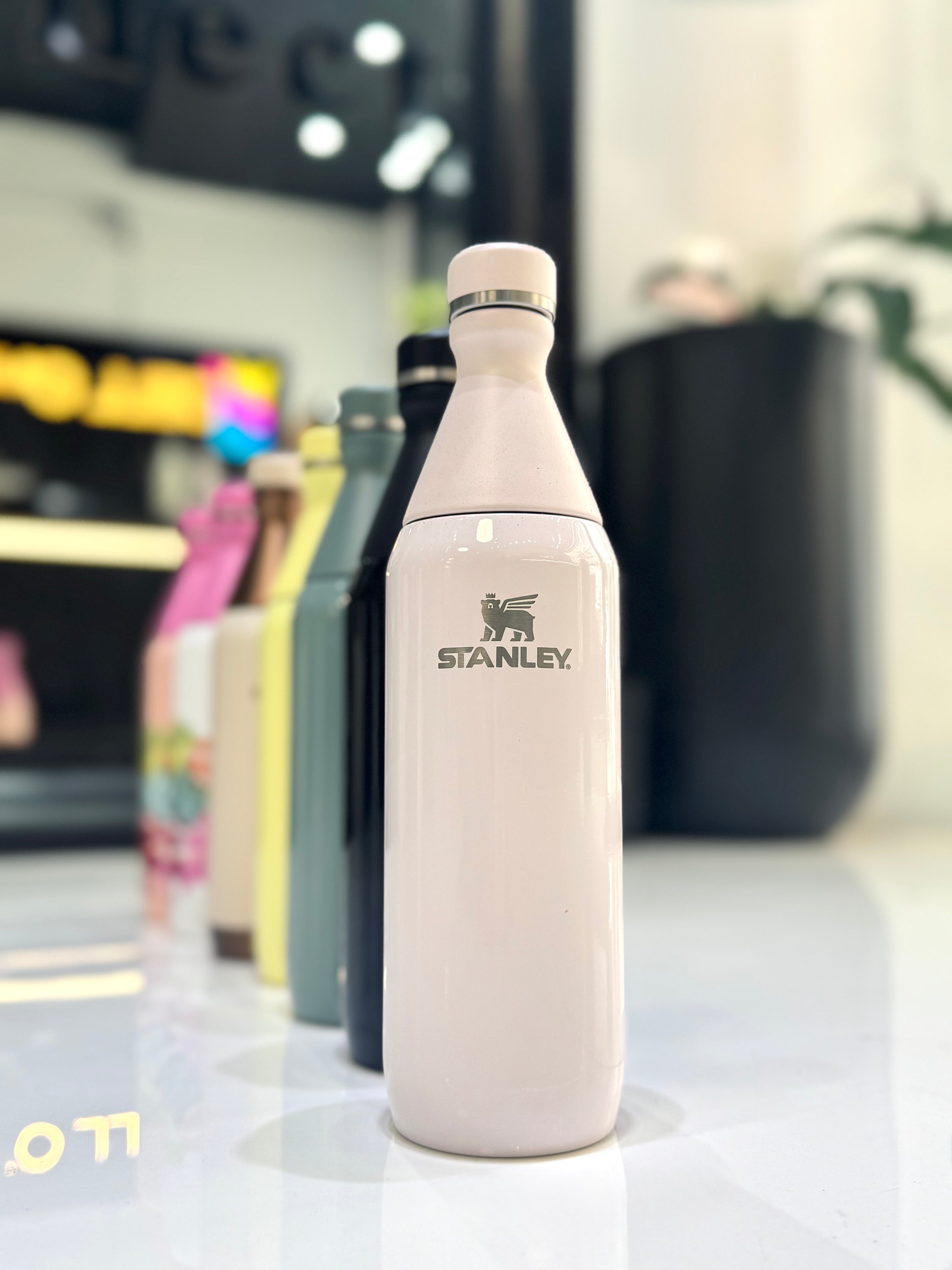 BOTELLA STANLEY ALL DAY SLIM 591ML