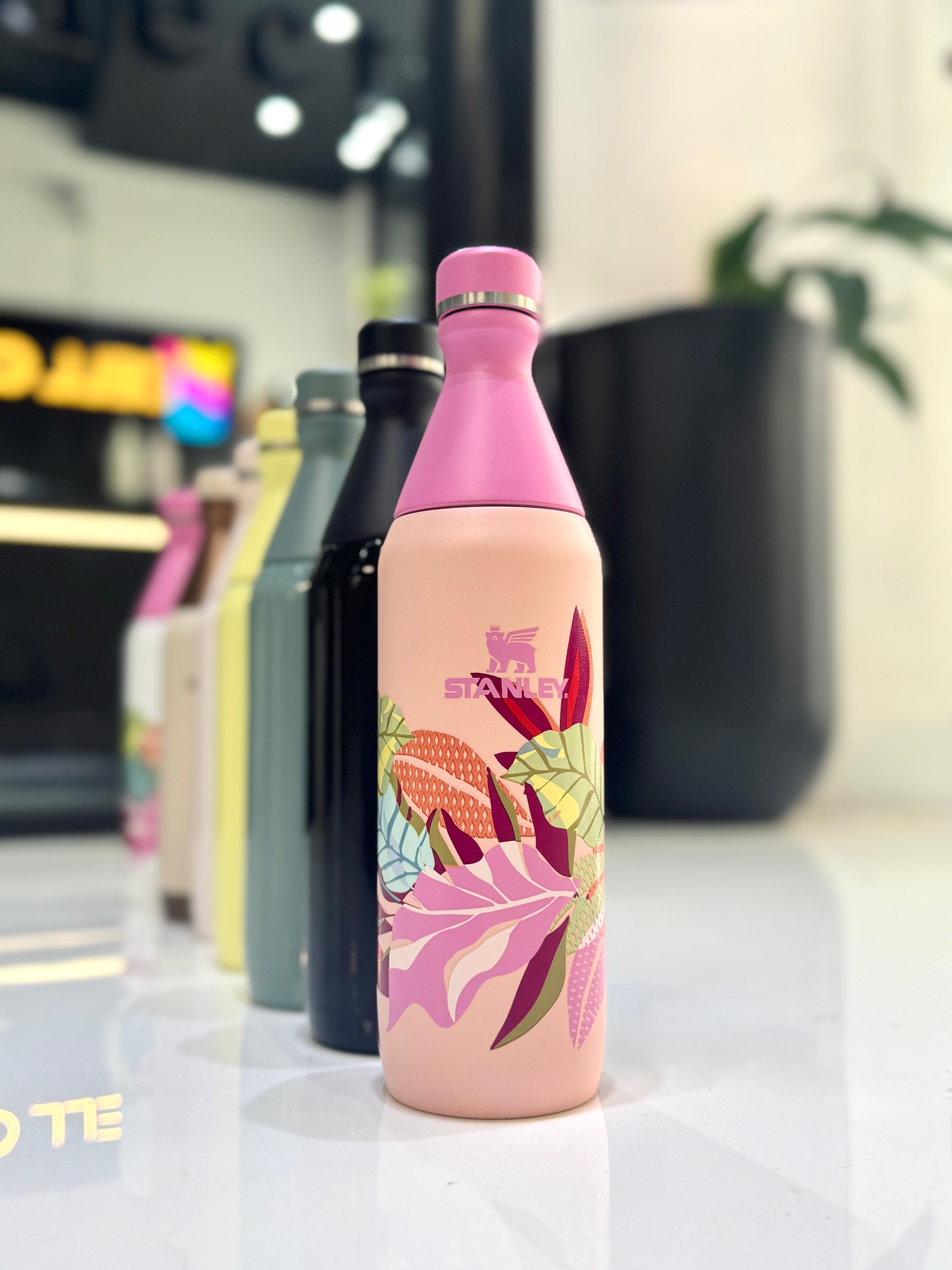 BOTELLA STANLEY ALL DAY SLIM 591ML