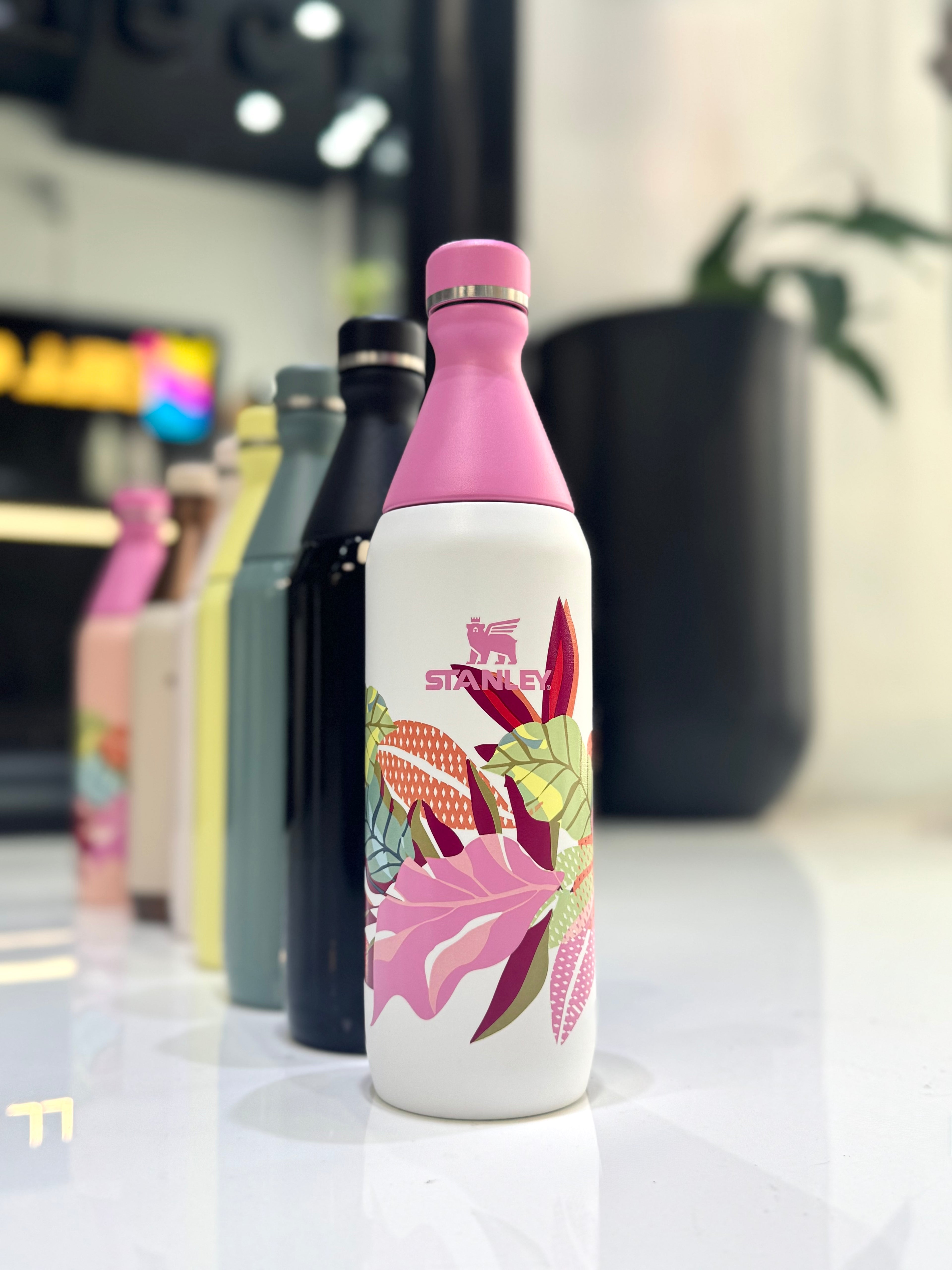 BOTELLA STANLEY ALL DAY SLIM 591ML