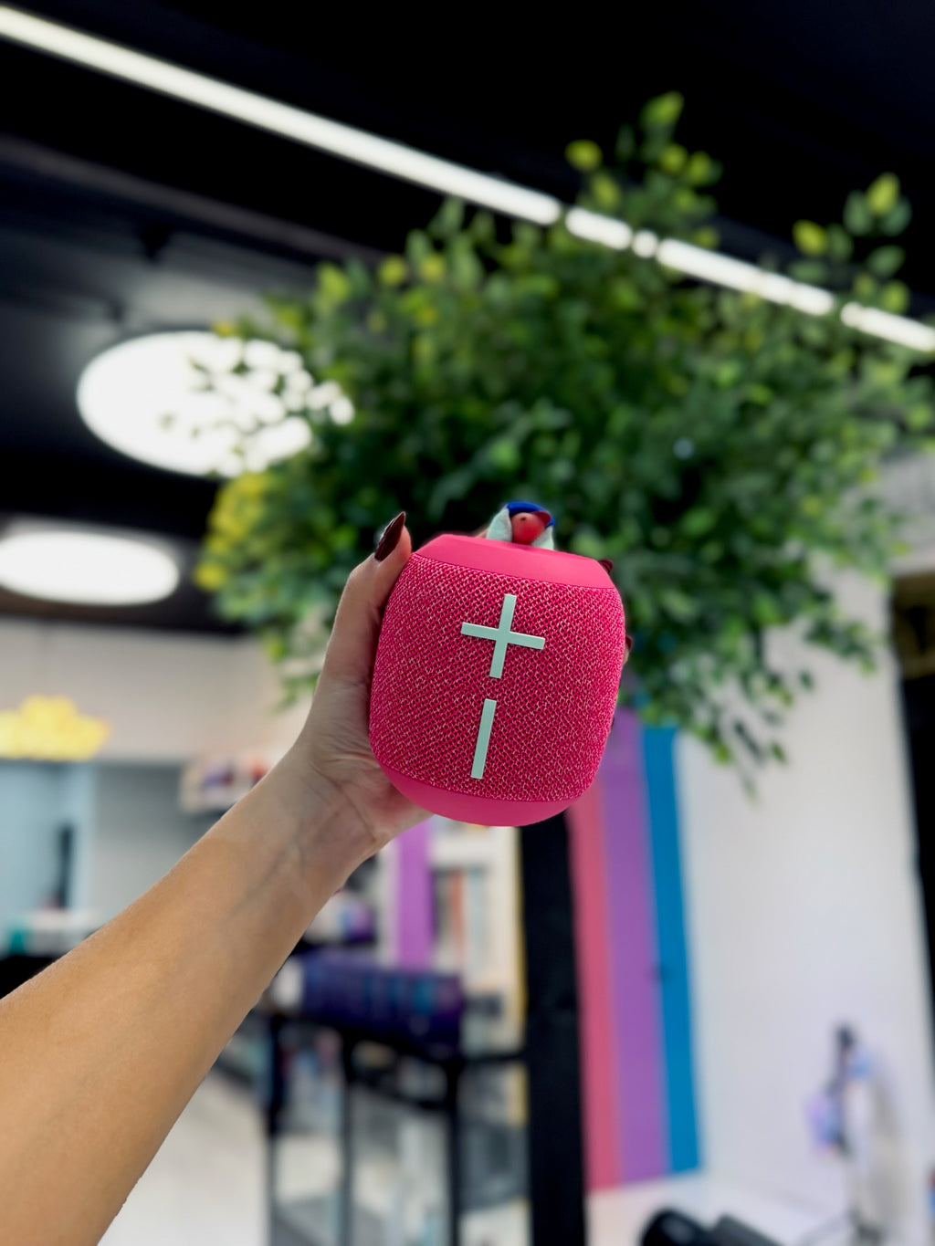 PARLANTE WONDERBOOM 4