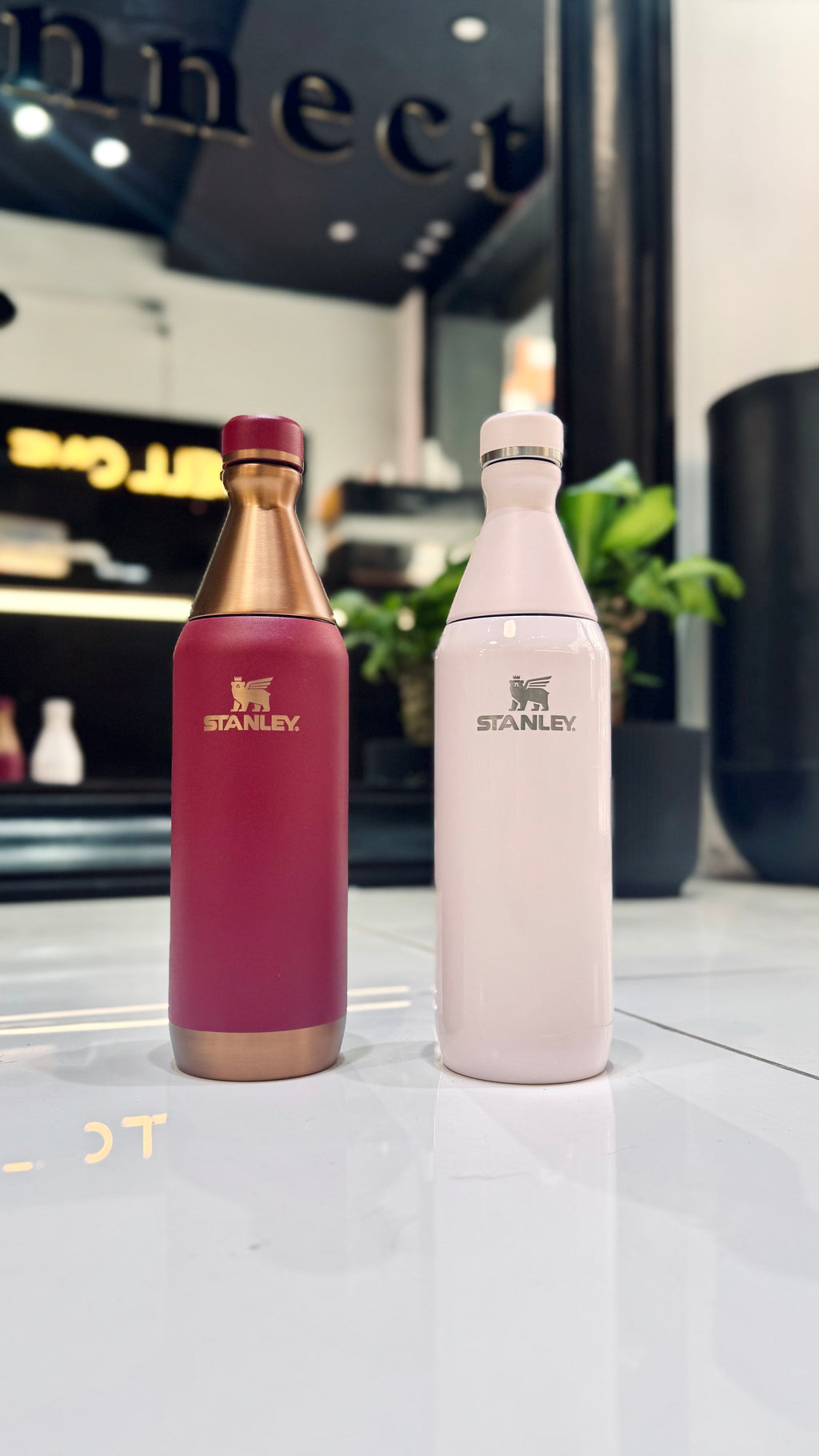 BOTELLA STANLEY ALL DAY SLIM 591ML