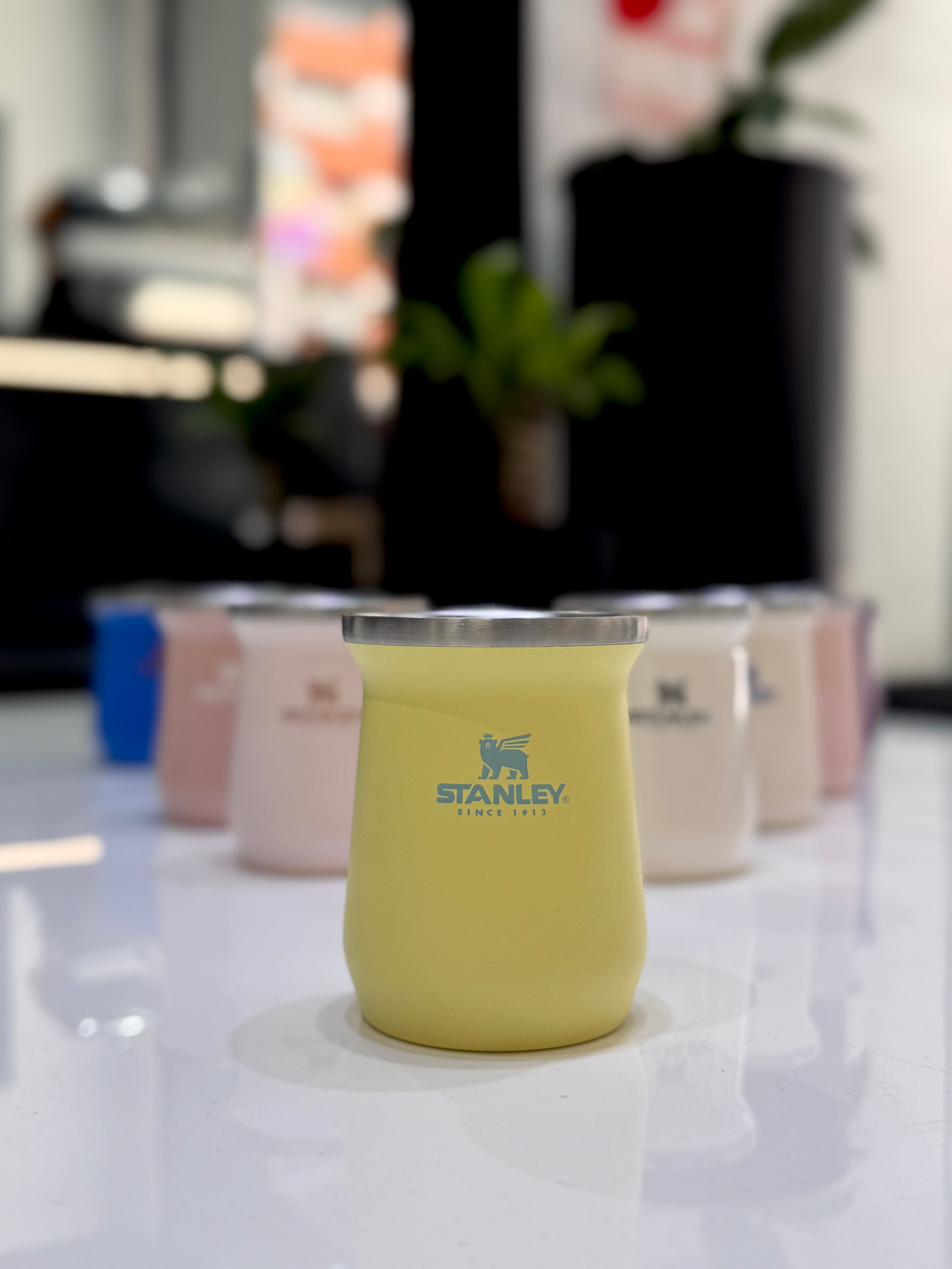 MATE STANLEY CLASSIC 236ML