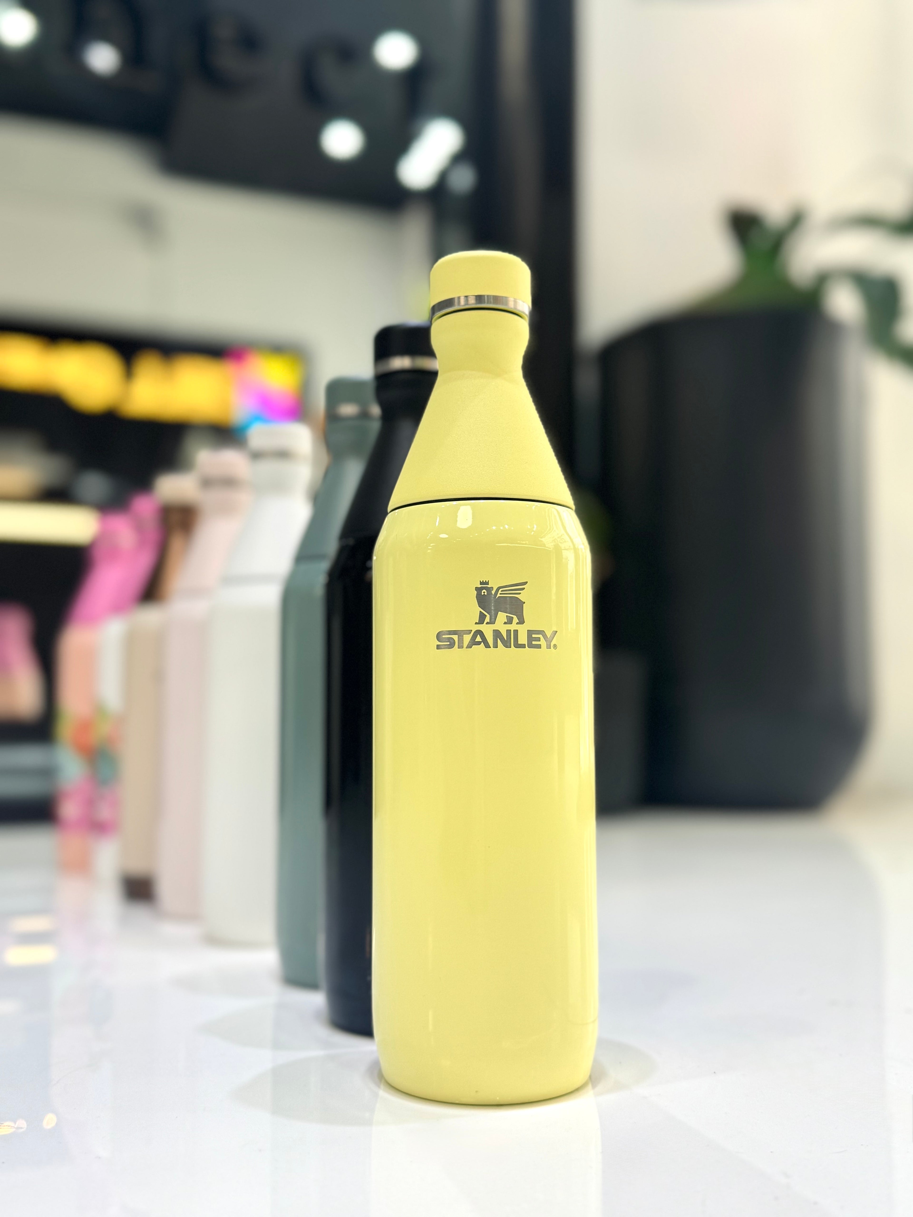 BOTELLA STANLEY ALL DAY SLIM 591ML