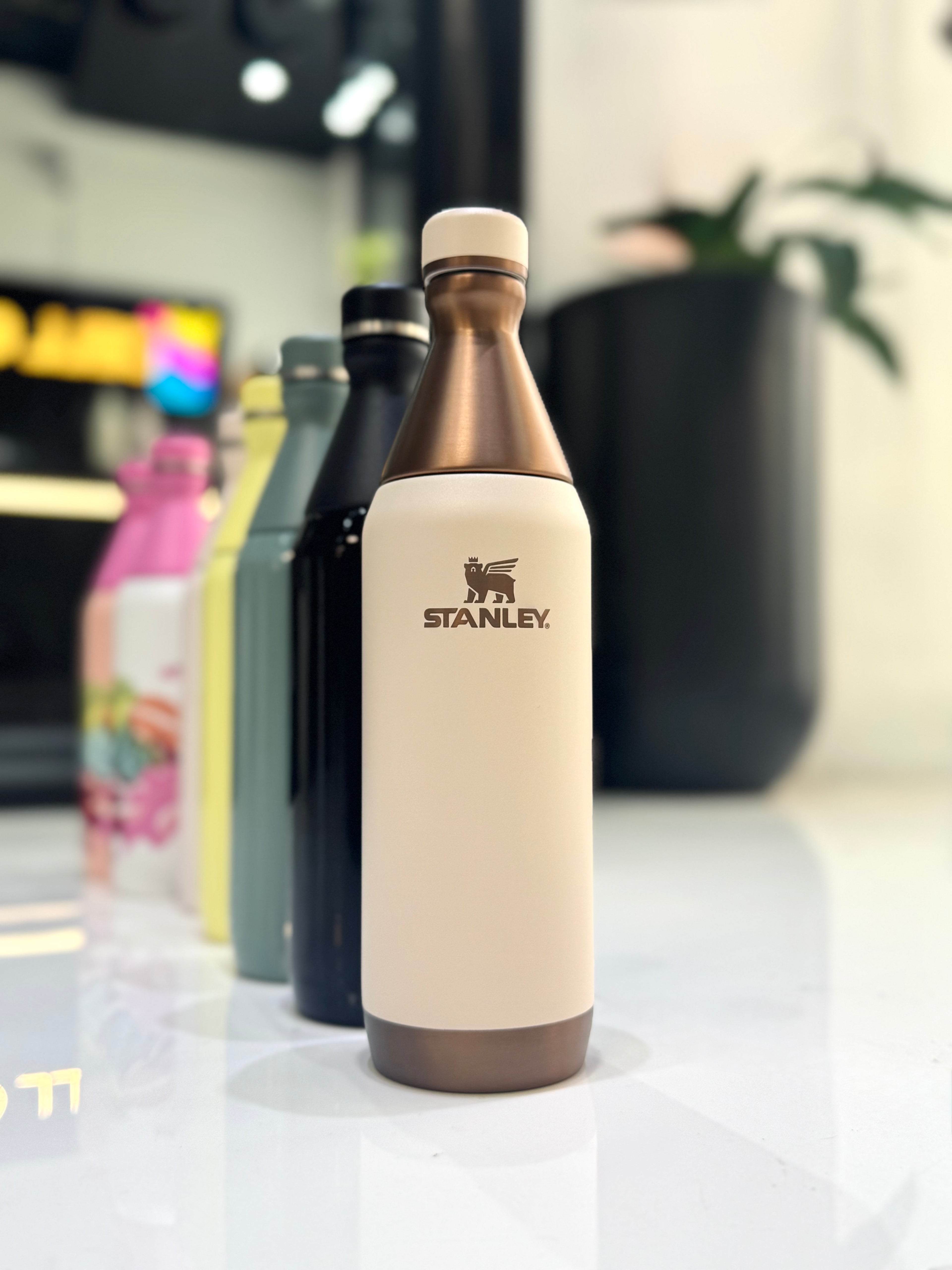 BOTELLA STANLEY ALL DAY SLIM 591ML