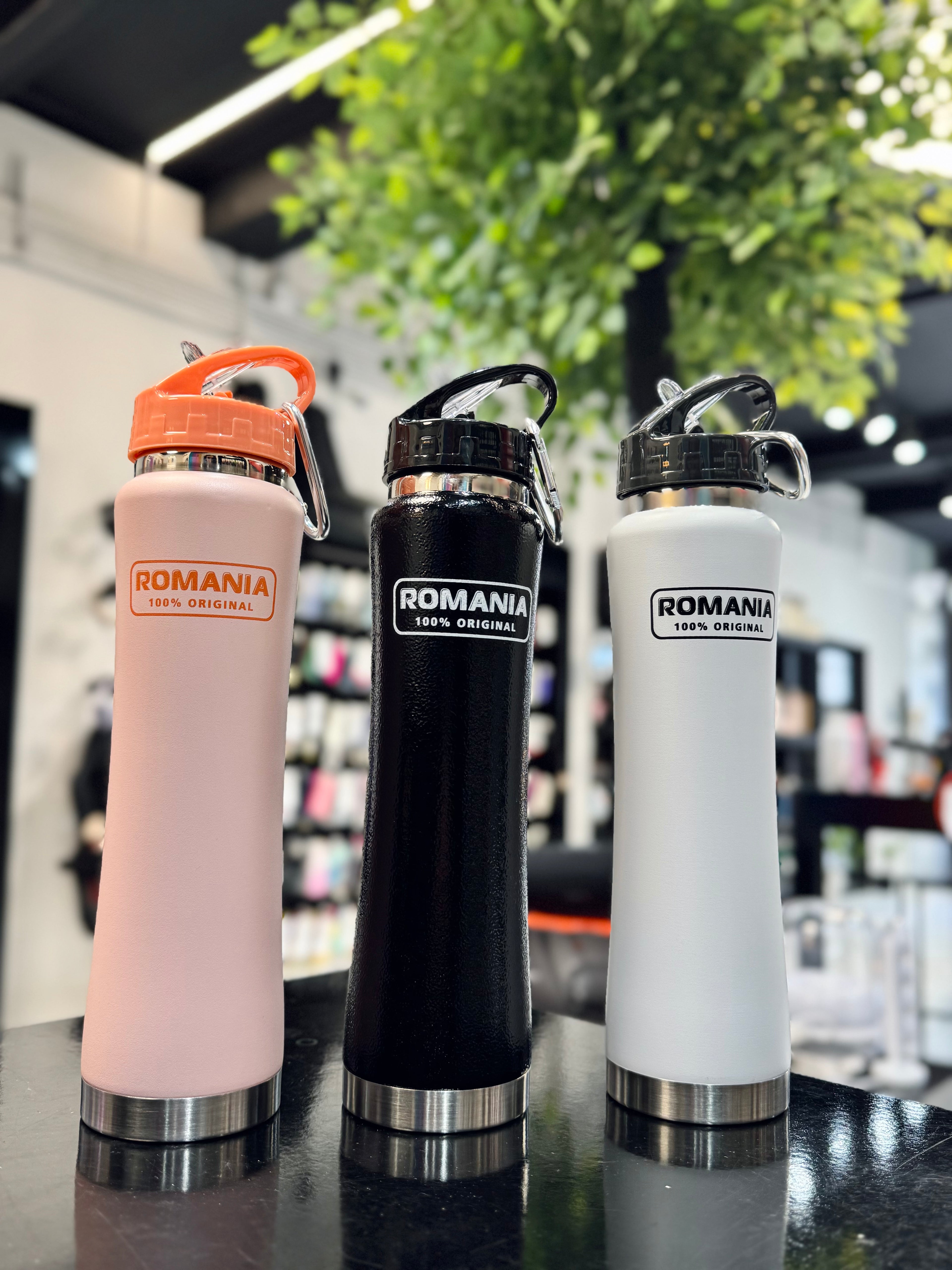 BOTELLA TERMICA ROMANIA 600ML