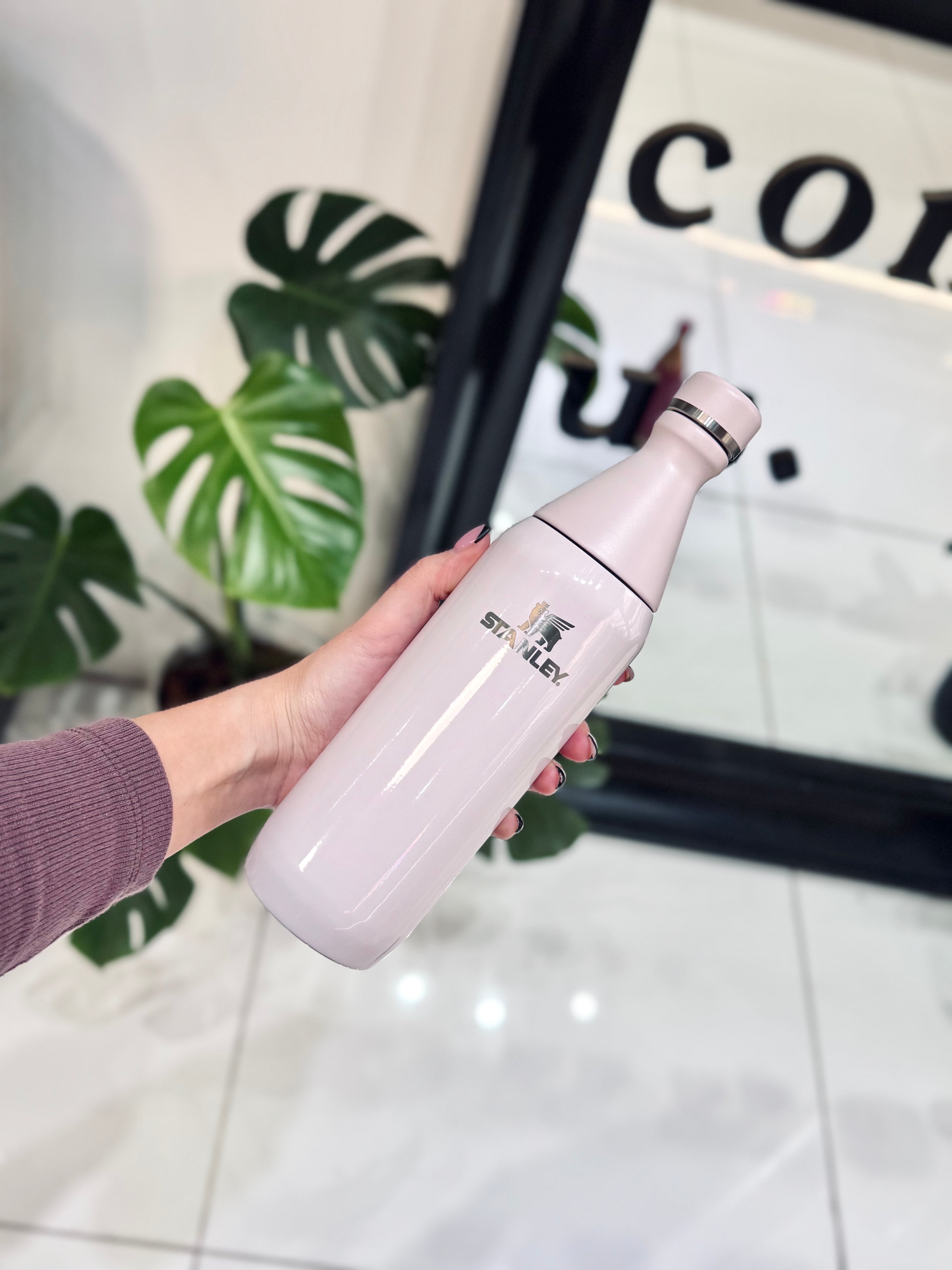 BOTELLA STANLEY ALL DAY SLIM 591ML