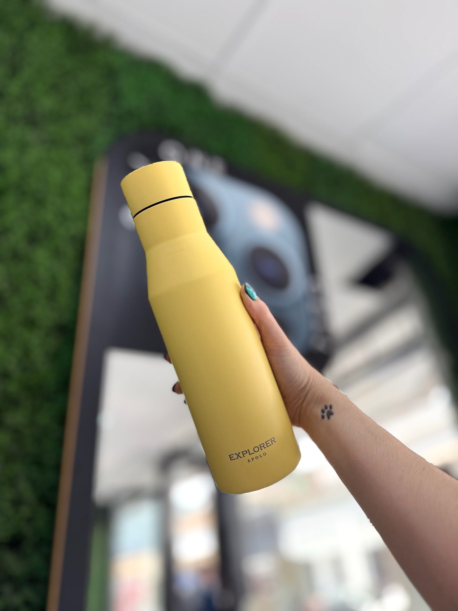 BOTELLA TERMICA EXPLORER 750ML