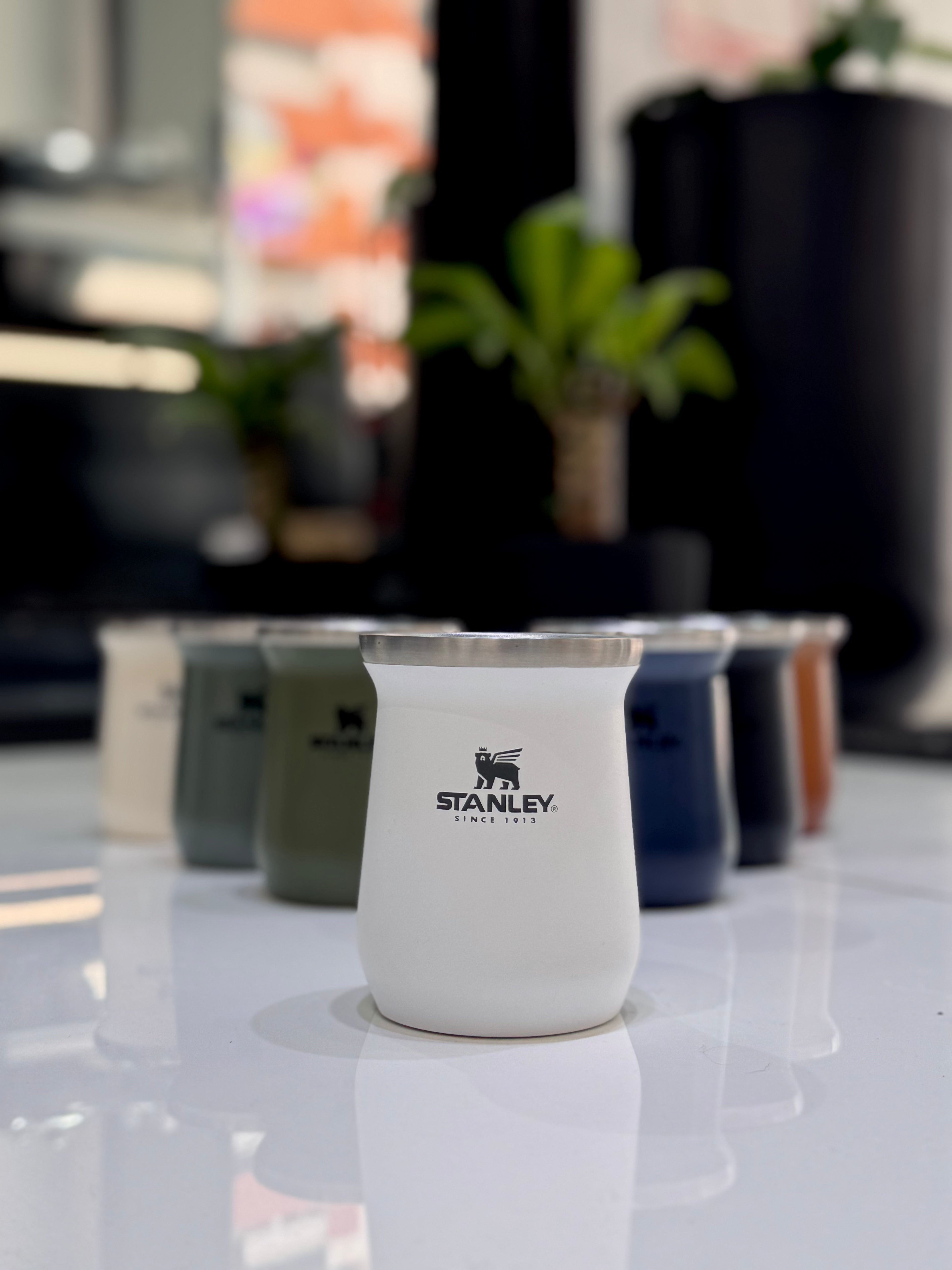 MATE STANLEY CLASSIC 236ML