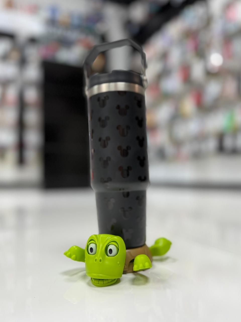 TORTUGAS POSAVASOS