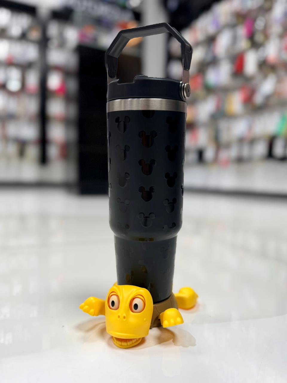 TORTUGAS POSAVASOS