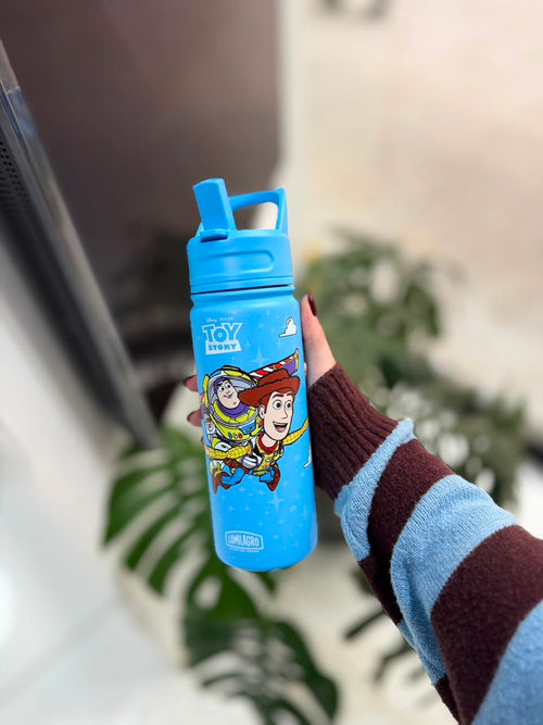 BOTELLA TERMICA LUMINAGRO DISNEY