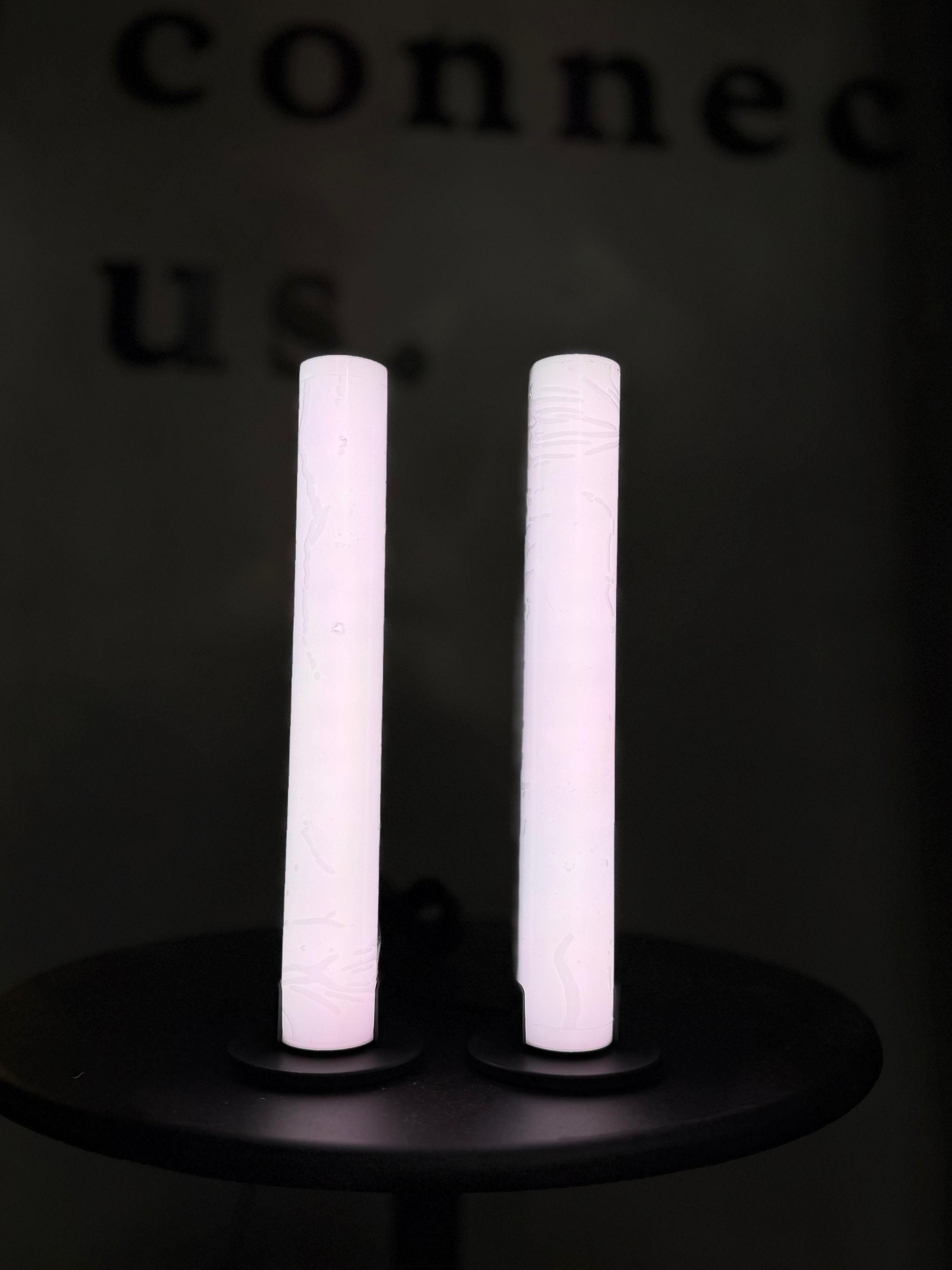 LUZ LED AMBIENT LAMP X2